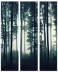 Paraván tmavý les 3 dílný