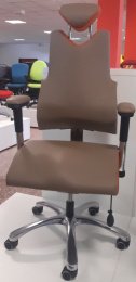 terapeutická židle THERAPIA BODY XL COM 4612, RX53/HX57, KSL - poslední vzorový kus