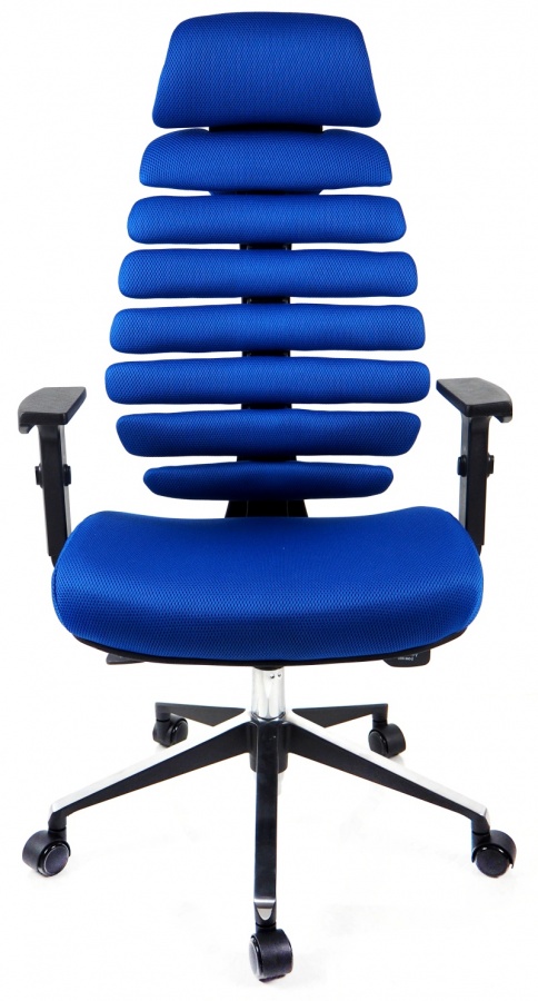 kancelářská židle FISH BONES PDH černý plast, modrá látka TW10 gallery main image