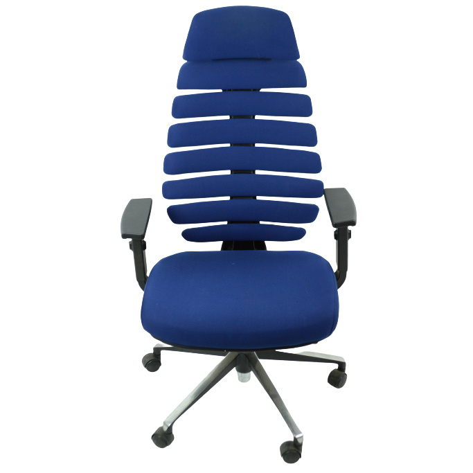 kancelářská židle FISH BONES PDH černý plast, modrá 26-67 č.AOJ1119