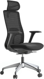 Kancelářská židle WISDOM, černý plast, černá gallery main image